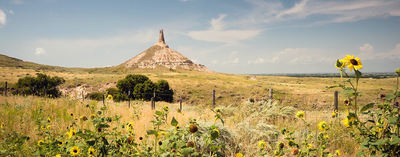 Native American photographers and artists please submit an original work for its new Tribal Health webpage.  Learn more below.