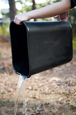 Pouring water our of a bucket