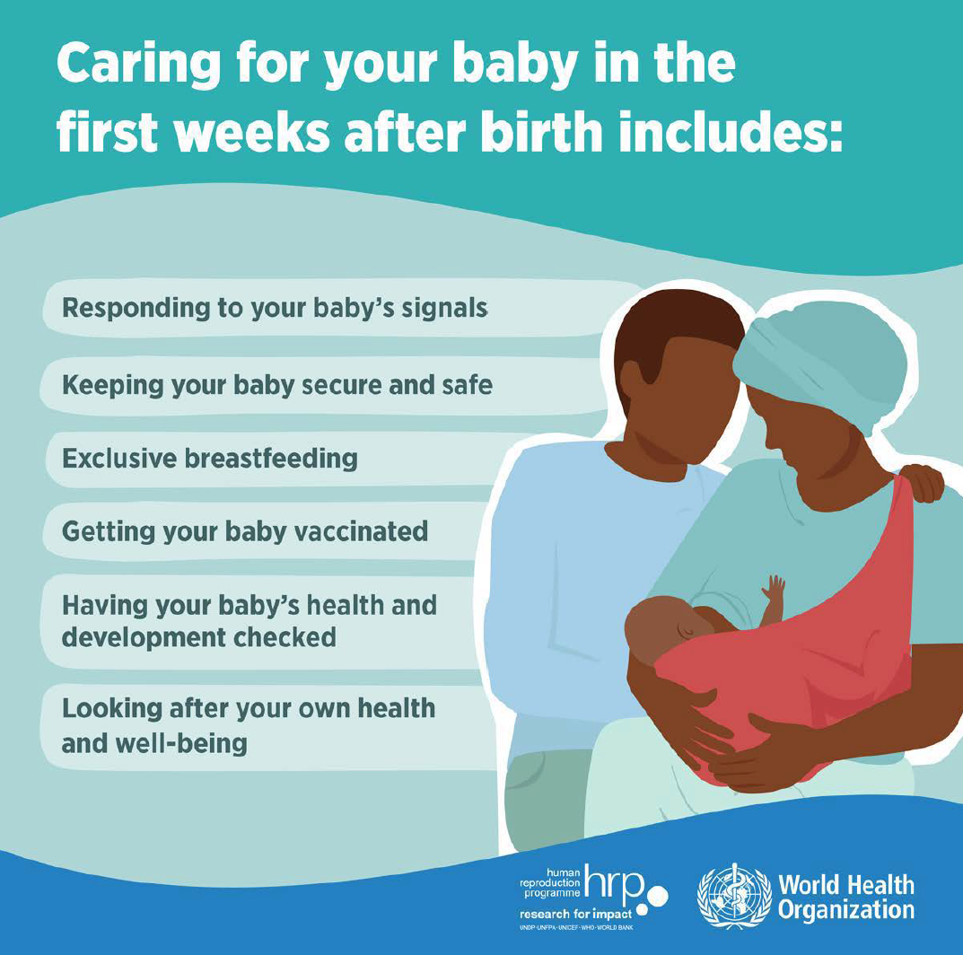 Caring for your baby in the first weeks after birth.