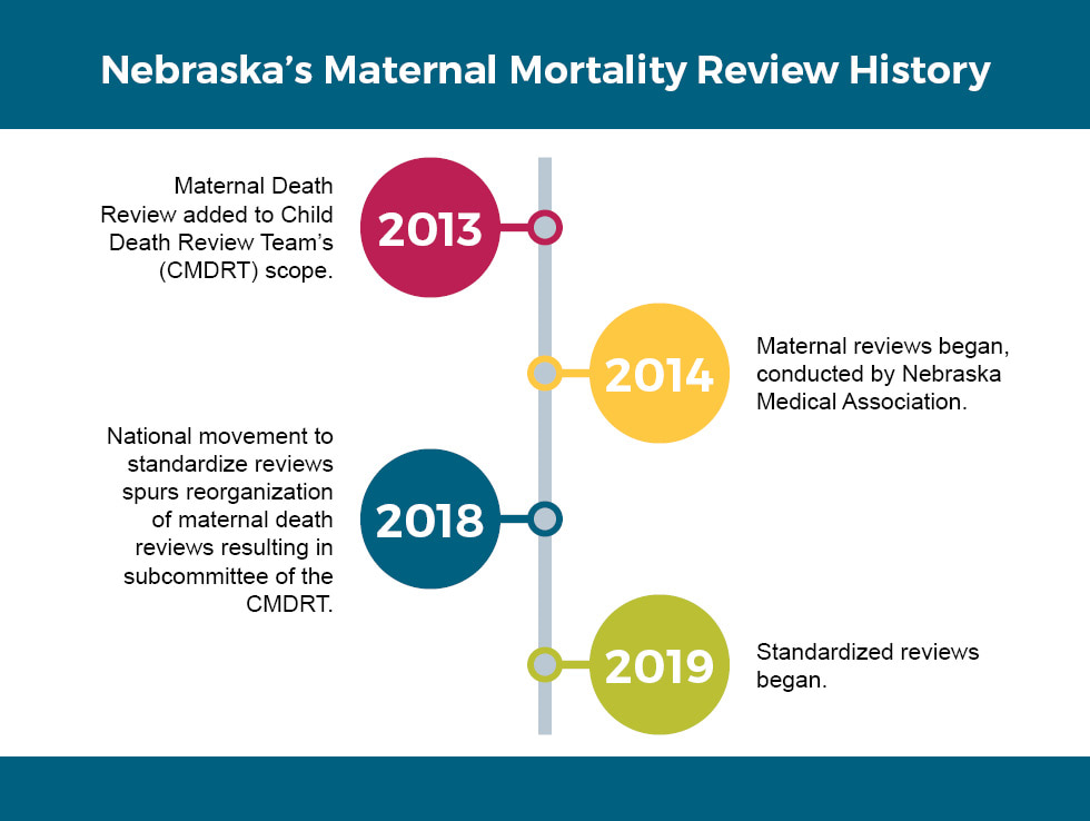 Review History Infographic