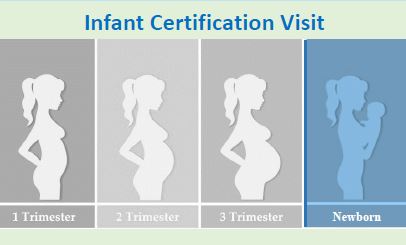 WIC Baby Behavior Infant Cert Image