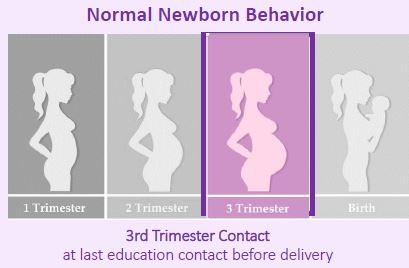 WIC Baby Behavior Third Trimester