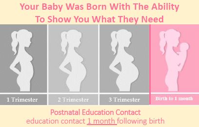 WIC Baby Behavior Postnatal