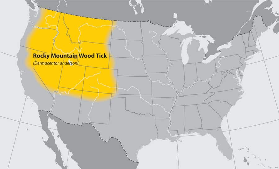 Lone Star Tick Habitation Map