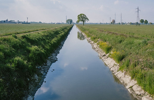 Roadside Ditch – larval habitat for transient water mosquitoes.